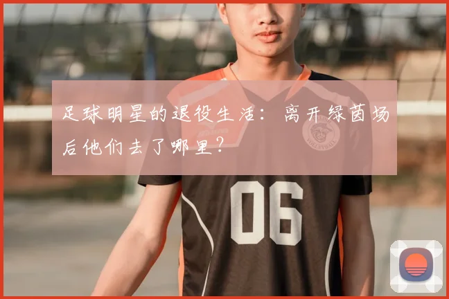 足球明星的退役生活:离开绿茵场后他们去了哪里?