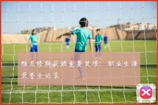 维尼修斯获颁重要奖项：职业生涯荣誉全记录