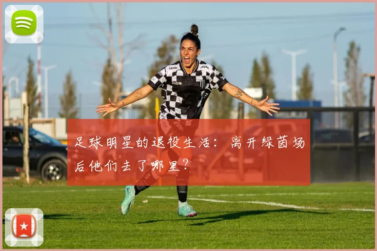 足球明星的退役生活:离开绿茵场后他们去了哪里?